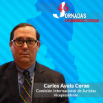 Carlos-Ayala-Corao-300x300